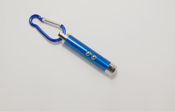 3 Uses of a Keychain Laser Pointer - Not Just For Children Anymore